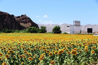 战略游戏《银河灰暗角落》Steam页面上线 支持简中