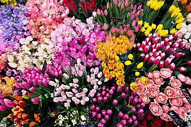 只能小小的兴奋一下 《仙剑奇侠传七》短暂上线港服PSN